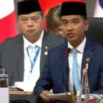 Oportunidades e riscos generalizados, Gibran incentiva o diálogo sobre IA entre os países do G20