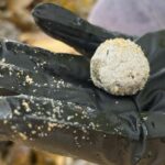 Bolas de destroços foram parar em várias praias de NSW novamente, mas as autoridades não têm certeza se estão relacionadas com aquelas que foram encontradas anteriormente ao longo de dezenas de praias de Sydney.