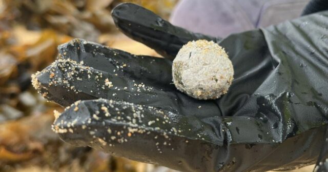 Origem das misteriosas bolas de detritos nas praias de NSW Bolas de destroços foram parar em várias praias de NSW novamente, mas as autoridades não têm certeza se estão relacionadas com aquelas que foram encontradas anteriormente ao longo de dezenas de praias de Sydney.