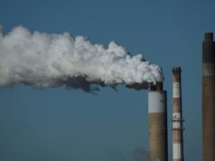 Os EUA desapareceram (oficialmente), mas não foram esquecidos, na COP30 Ativistas participam de uma manifestação fora de onde estão ocorrendo as negociações na Cúpula do Clima da ONU COP30, sexta-feira, 21 de novembro de 2025, em Belém, Brasil. (Foto AP/Joshua A. Bickel)