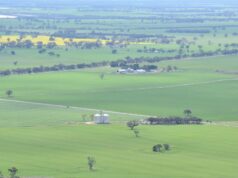 Os dados revelam 10 LGAs importantes para as culturas, enquanto surge um conjunto de resultados insatisfatórios Os dados revelam 10 LGAs importantes para as culturas, enquanto surge um conjunto de resultados insatisfatórios