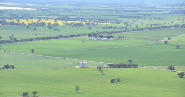 Os dados revelam 10 LGAs importantes para as culturas, enquanto surge um conjunto de resultados insatisfatórios
