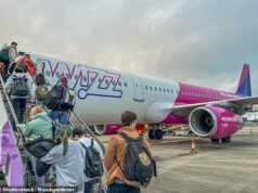 Os passageiros enfrentam atrasos nos voos enquanto os Airbus A320 passam por verificações de segurança enquanto Gatwick, Wizzair e Easyjet emitem atualizações Os passageiros foram avisados de que esperariam atrasos nos voos neste fim de semana, depois que várias companhias aéreas do Reino Unido foram forçadas a passar por verificações de segurança em algumas aeronaves Airbus A320 (foto de arquivo)