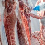 Os preços do sebo despencam à medida que os créditos fiscais são retirados dos fabricantes de biocombustíveis dos EUA