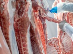 Os preços do sebo despencam à medida que os créditos fiscais são retirados dos fabricantes de biocombustíveis dos EUA Os preços do sebo despencam à medida que os créditos fiscais são retirados dos fabricantes de biocombustíveis dos EUA