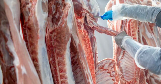 Os preços do sebo despencam à medida que os créditos Os preços do sebo despencam à medida que os créditos fiscais são retirados dos fabricantes de biocombustíveis dos EUA