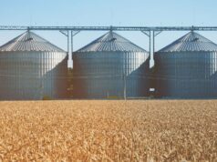 Os produtores recorrem cada vez mais ao gerenciamento dos desafios logísticos de suas próprias colheitas Os produtores recorrem cada vez mais ao gerenciamento dos desafios logísticos de suas próprias colheitas