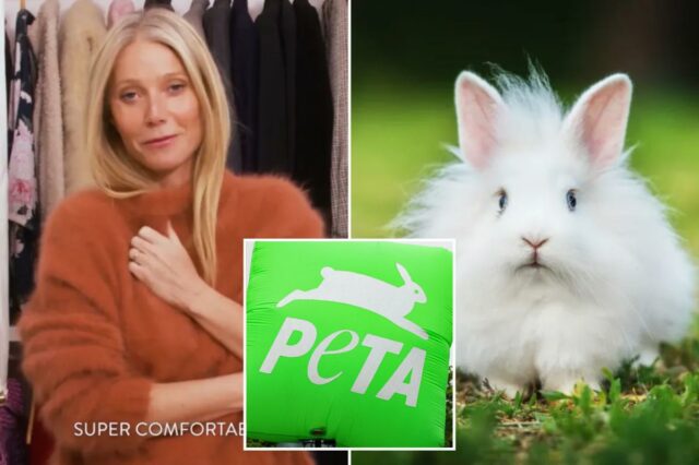 PETA insta Goop, de Gwyneth Paltrow, a parar de usar peles de lindos coelhos angorá submetidos ao “inferno sem fim” nas fábricas chinesas
