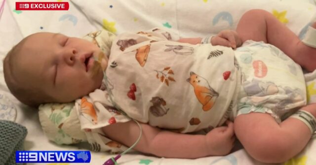 Pais de coração partido lutam para descobrir por que Tommy viveu apenas 23 dias
