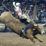 Paramount, de David Ellison, assina contrato de streaming de cinco anos para a série Professional Bull Riders Unleash the Beast