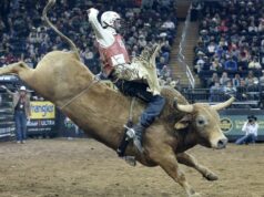 Paramount, de David Ellison, assina contrato de streaming de cinco anos para a série Professional Bull Riders Unleash the Beast Paramount, de David Ellison, assina contrato de streaming de cinco anos para a série Professional Bull Riders Unleash the Beast