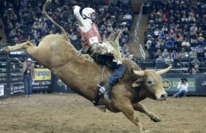Paramount, de David Ellison, assina contrato de streaming de cinco anos para a série Professional Bull Riders Unleash the Beast Paramount, de David Ellison, assina contrato de streaming de cinco anos para a série Professional Bull Riders Unleash the Beast