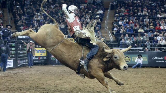 Paramount, de David Ellison, assina contrato de streaming de cinco anos para a série Professional Bull Riders Unleash the Beast
