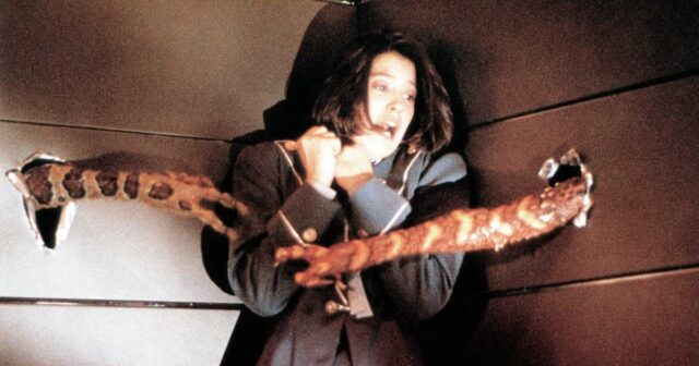 Parar! E assista a este ótimo filme antes de sair MCDGREMWB001 Gremlins 3 em obras para 2027