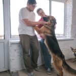 Pastor alemão se envolve na reforma de casas, horror com o que acontece