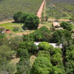 Pastores do Norte entusiasmados com a ideia do futuro processamento chegando à região