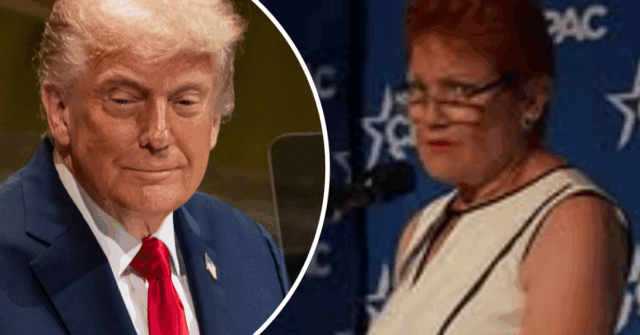 Pauline Hanson lamenta o estado da Austrália para a elite Pauline Hanson lamentou a Austrália e elogiou o presidente dos EUA, Donald Trump, durante um discurso em seu resort em Mar-a-Lago, na Flórida.