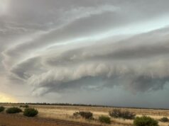 Pausa na colheita: tempestades vão rondar as regiões produtoras até o fim de semana Pausa na colheita: tempestades vão rondar as regiões produtoras até o fim de semana