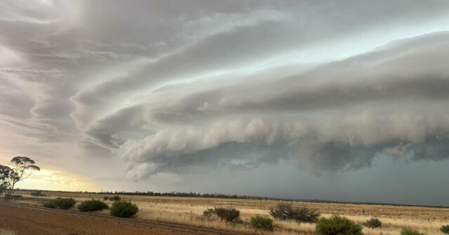 Pausa na colheita: tempestades vão rondar as regiões produtoras até o fim de semana
