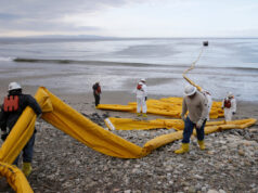 Perfure, baby, perfure – a menos que os republicanos peçam para você não fazer isso ARQUIVO - Equipes de limpeza removem areia carregada de óleo na praia de Refugio State Beach, local de um derramamento de óleo, ao norte de Goleta, Califórnia, 20 de maio de 2015. (AP Photo / Michael A. Mariant, Arquivo)