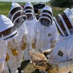 Um palete contém duas pilhas de caixas: uma é branca com a parte superior verde e a outra é amarela.