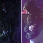 Piloto e passageiro saíram ilesos após a queda de um pequeno avião no Missouri: 'Hoje foi um milagre'