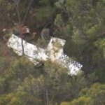 Relatos foram feitos às 11h50 de que as duas aeronaves colidiram perto do campo de aviação Napperfield, em Wedderburn, perto de Appin﻿.