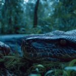 Platoon One Films da Índia contrata 'A Late Autumn Dream' de Pramati Anand como produtor principal (EXCLUSIVO)