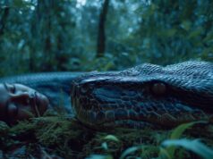 Platoon One Films da Índia contrata ‘A Late Autumn Dream’ de Pramati Anand como produtor principal (EXCLUSIVO) Platoon One Films da Índia contrata 'A Late Autumn Dream' de Pramati Anand como produtor principal (EXCLUSIVO)