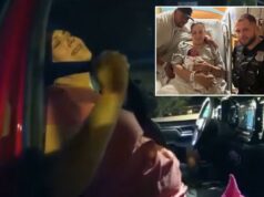 Policial de Michigan faz parto de bebê na beira da estrada com a ajuda do irmão despachante Policial de Michigan faz parto de bebê na beira da estrada com a ajuda do irmão despachante