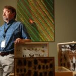 Medflies são menores que as moscas domésticas, mas consideravelmente mais destrutivas. Eles atacam mais de 250 espécies de frutas, flores e vegetais. (Departamento de Agricultura dos EUA)