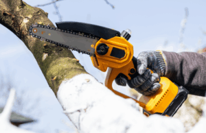 Por que possuo uma mini motosserra (e talvez você também devesse) Por que possuo uma mini motosserra (e talvez você também devesse)