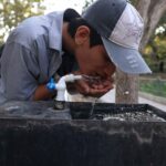 Porque é que o presidente do Irão avisou que Teerão poderá necessitar de ser evacuado?