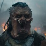 terras áridas de predadores