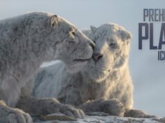 Prehistoric Planet estreia cinco novos episódios da Era do Gelo, veja como assistir na Apple TV Prehistoric Planet estreia cinco novos episódios da Era do Gelo, veja como assistir na Apple TV