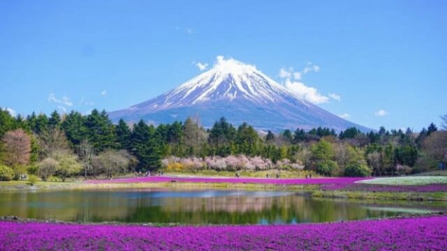 Prepare mais orçamento! Japão aumentará impostos sobre turistas em 2026
