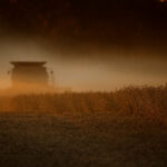ARQUIVO - O administrador da EPA, Lee Zeldin, participa de um evento da Comissão Make America Healthy Again (MAHA) na Sala Leste da Casa Branca, 22 de maio de 2025, em Washington. (Foto AP / Jacquelyn Martin, Arquivo)