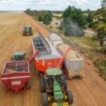 Pressão rodoviária: 10.000 reboques de grãos utilizam trechos de 70 km de estrada todos os anos