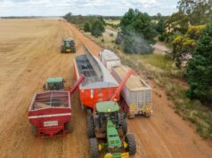 Pressão rodoviária: 10.000 reboques de grãos utilizam trechos de 70 km de estrada todos os anos Pressão rodoviária: 10.000 reboques de grãos utilizam trechos de 70 km de estrada todos os anos
