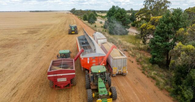 Pressão rodoviária: 10.000 reboques de grãos utilizam trechos de 70 km de estrada todos os anos
