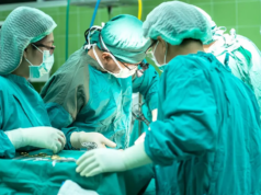 Primeiro ensaio clínico para transplante de rim de porco para humano em andamento Primeiro ensaio clínico para transplante de rim de porco para humano em andamento