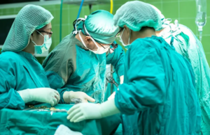 Primeiro ensaio clínico para transplante de rim de porco para humano em andamento Primeiro ensaio clínico para transplante de rim de porco para humano em andamento