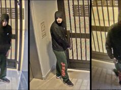 Procurado suspeito de roubo de veículos em São José dos Campos Procurado suspeito de roubo de veículos em São José dos Campos