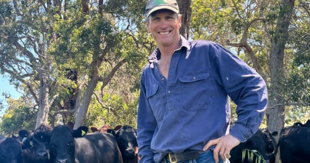 Produtores de carne bovina do Sudoeste reivindicam um hat-trick suculento na principal competição de carne
