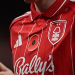 Qual é a flor vermelha usada nas camisas dos times da Premier League?