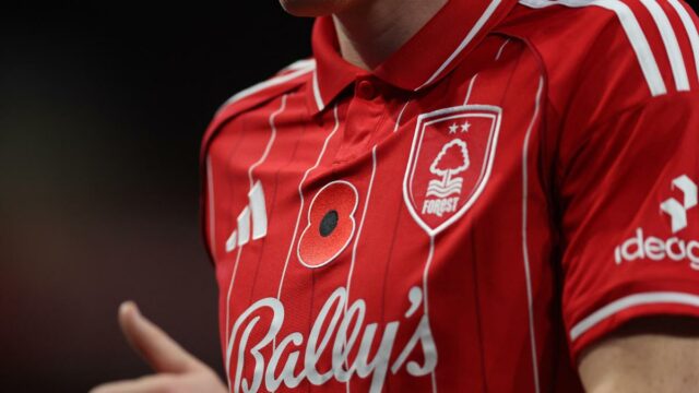 Qual é a flor vermelha usada nas camisas dos times da Premier League?
