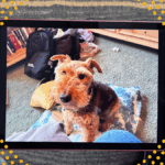 Imagem do módulo de produto pequeno