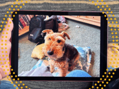 Rápido! O mais recente iPad da Apple custa US $ 274 na Cyber Monday Imagem do módulo de produto pequeno