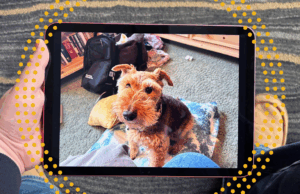 Rápido! O mais recente iPad da Apple custa US $ 274 na Cyber Monday Imagem do módulo de produto pequeno