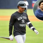 Everson Pereira # 45 do Tampa Bay Rays observa durante o treino de rebatidas antes de um jogo de beisebol contra o Baltimore Orioles no Oriole Park em Camden Yards em 23 de setembro de 2025 em Baltimore, Maryland.